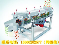 湖南王總需要的DZSF直線振動篩今天發(fā)貨!